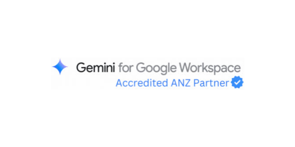 Google Partner badge